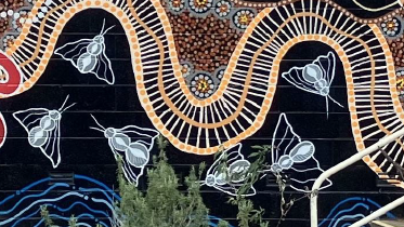 Insert image caption here!