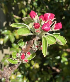 Insert image caption here!