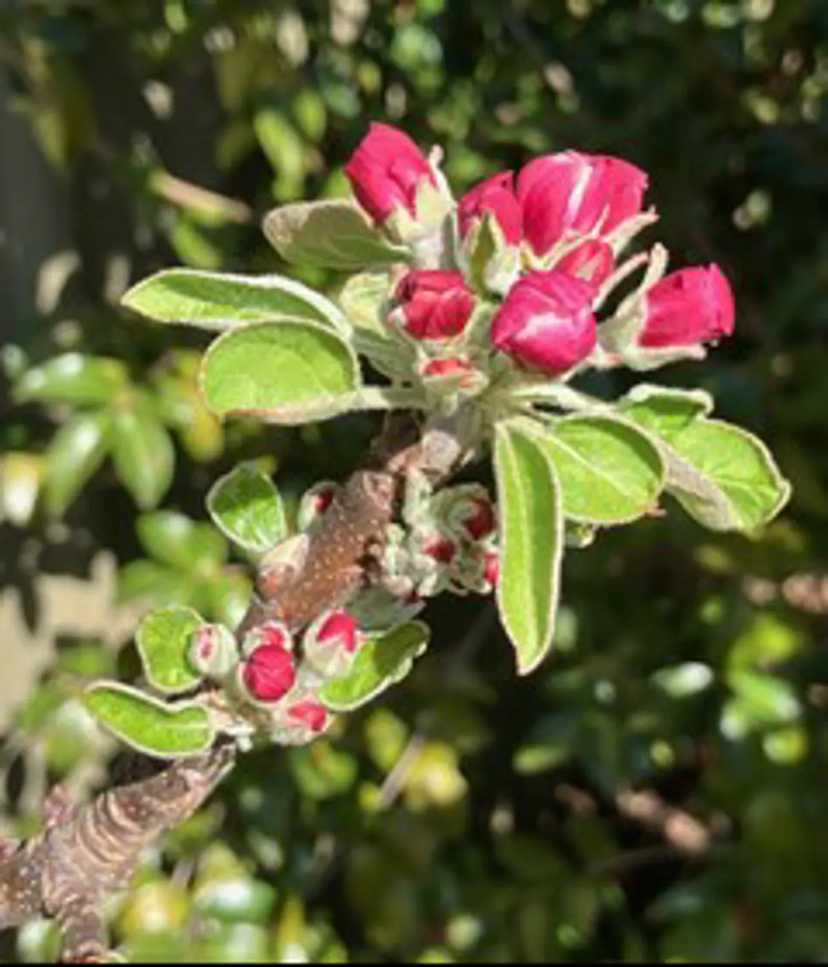 Insert image caption here!